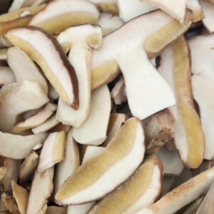 Champignons bolets lamelles - C1